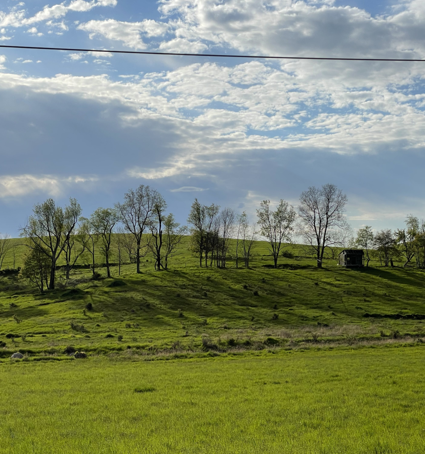 PLaCE land in spring