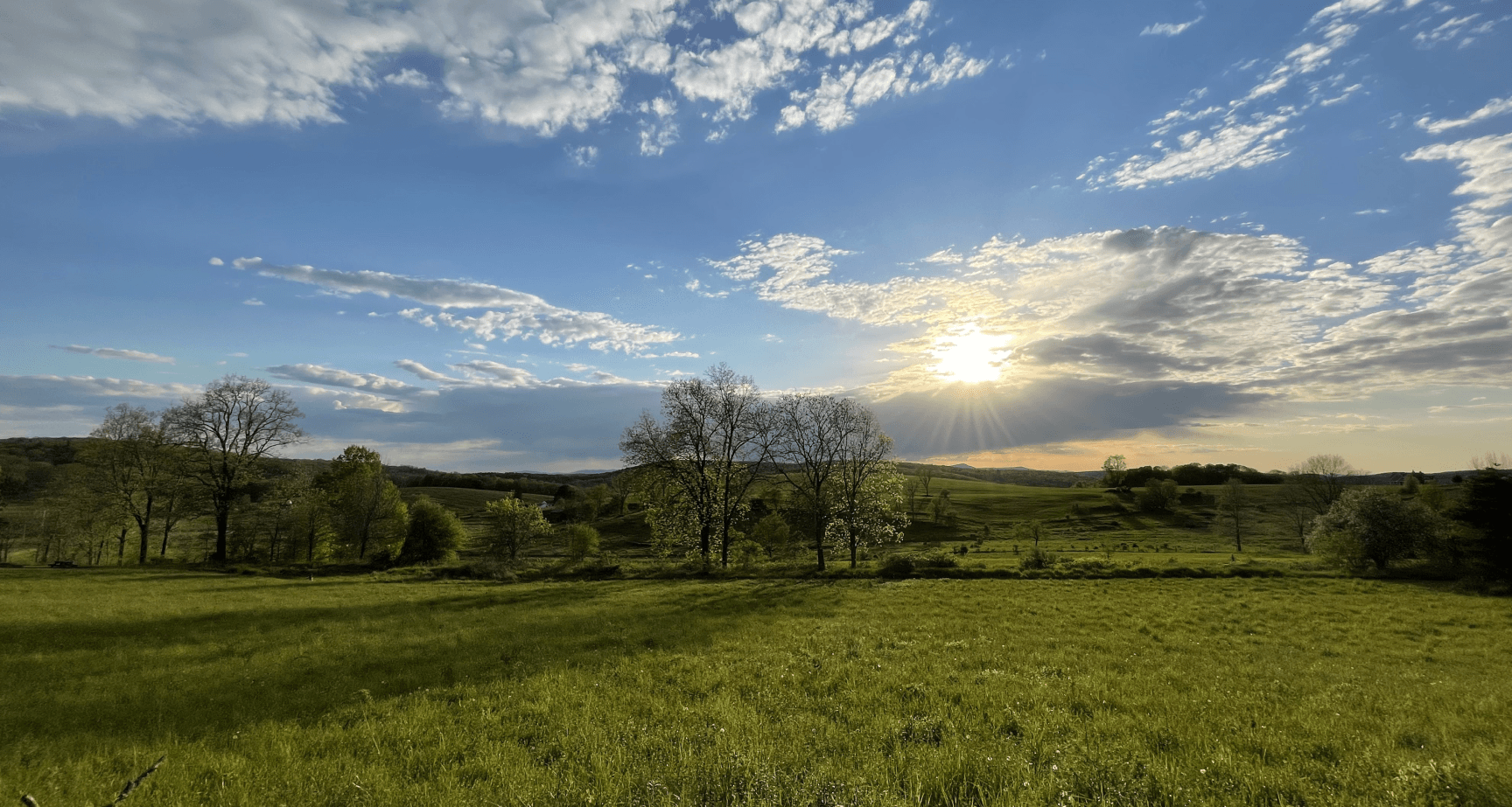 Landscape