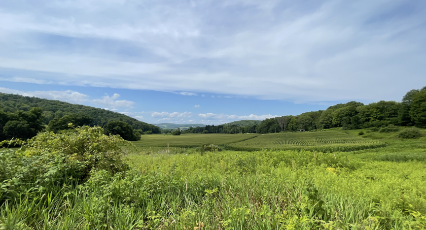 PLaCE land — Copake, NY
